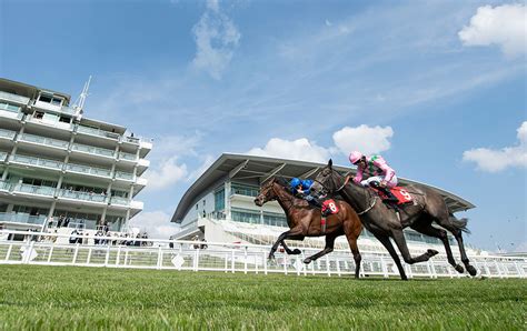 epsom racing tips today|Epsom Racing Tips .